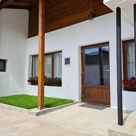 The Cozy Bunker Apartment Sibiu Exterior photo