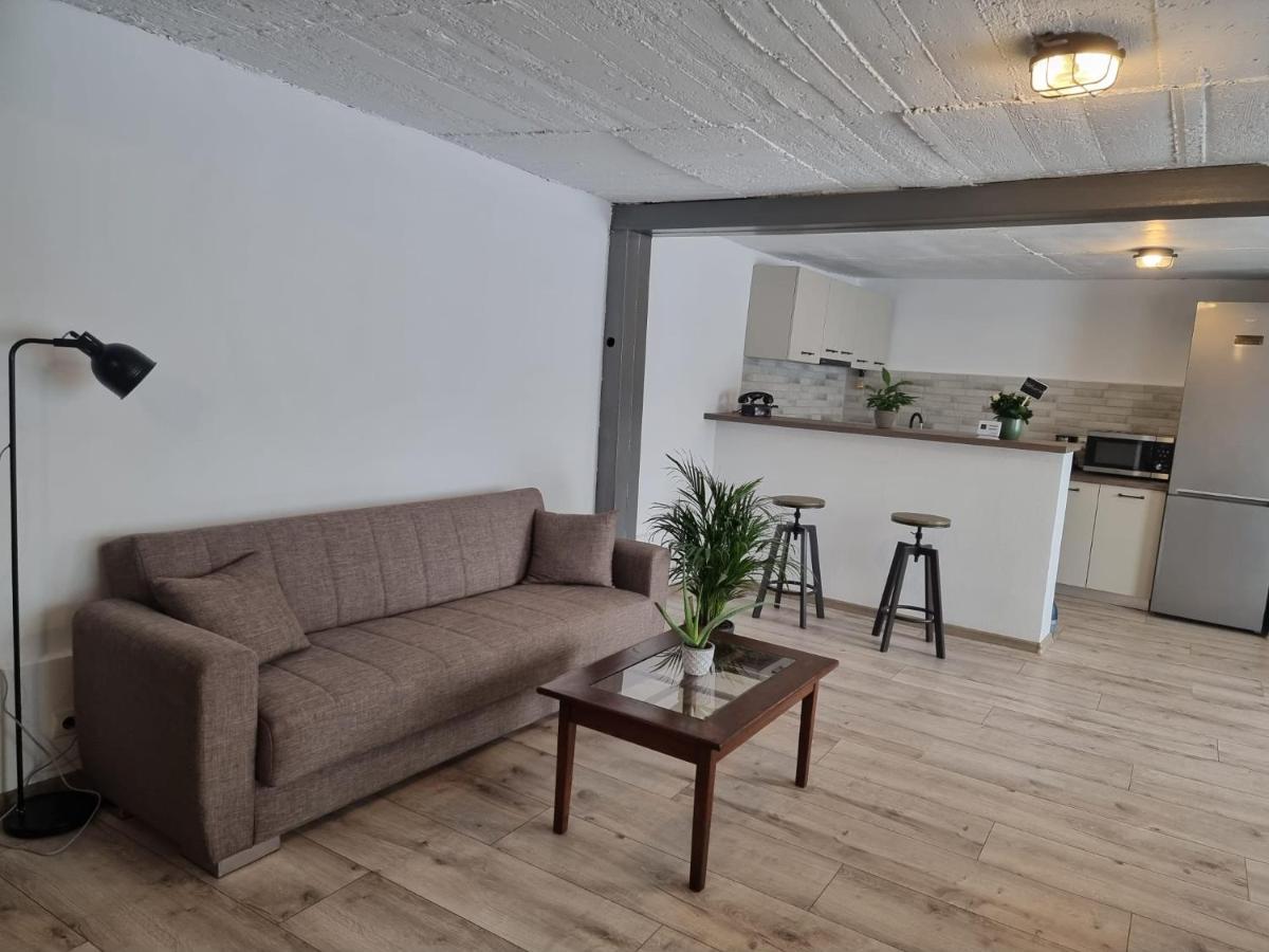 The Cozy Bunker Apartment Sibiu Exterior photo