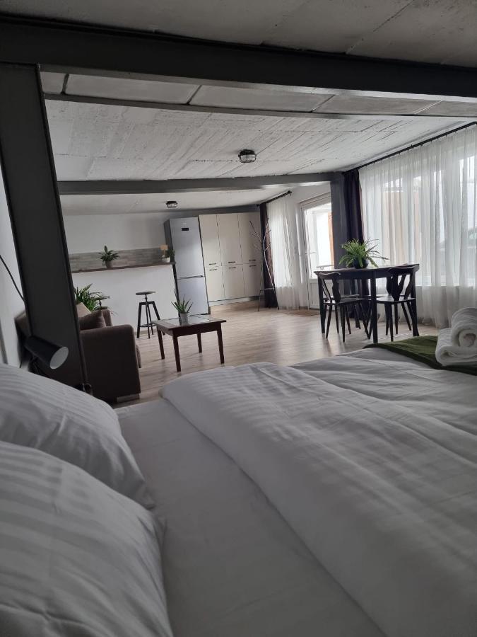 The Cozy Bunker Apartment Sibiu Exterior photo