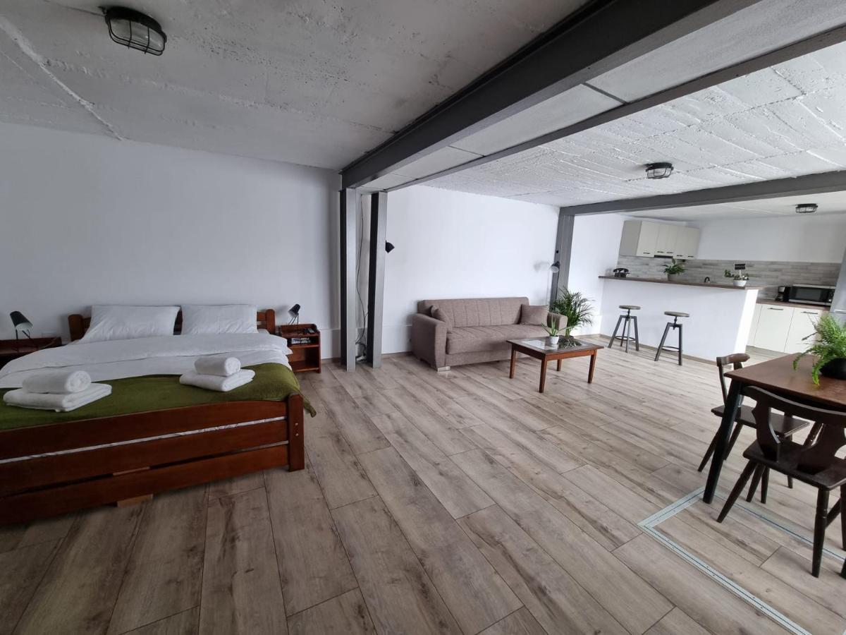 The Cozy Bunker Apartment Sibiu Exterior photo