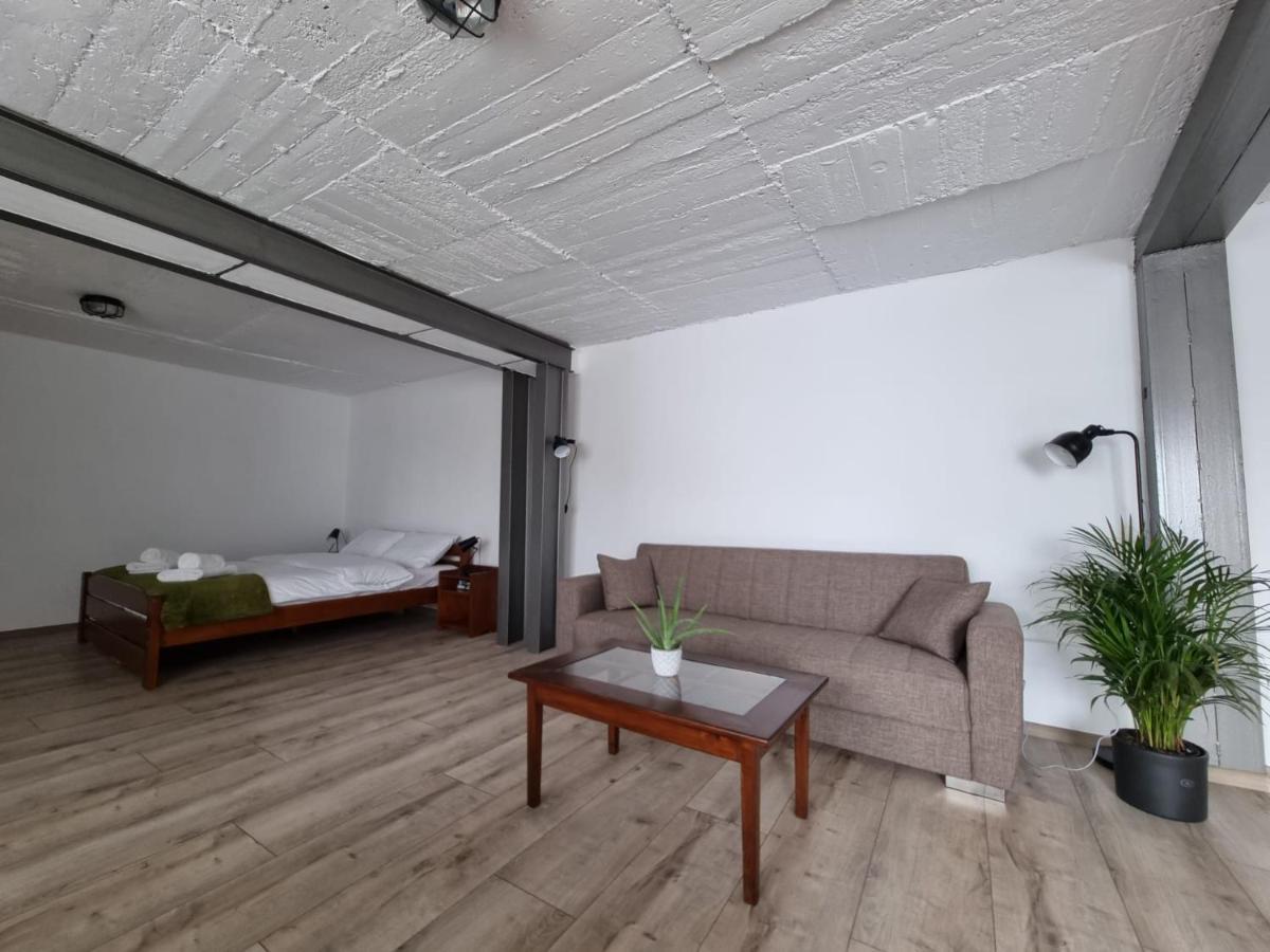 The Cozy Bunker Apartment Sibiu Exterior photo
