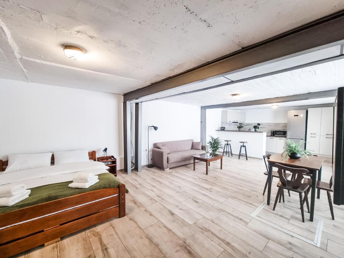The Cozy Bunker Apartment Sibiu Exterior photo